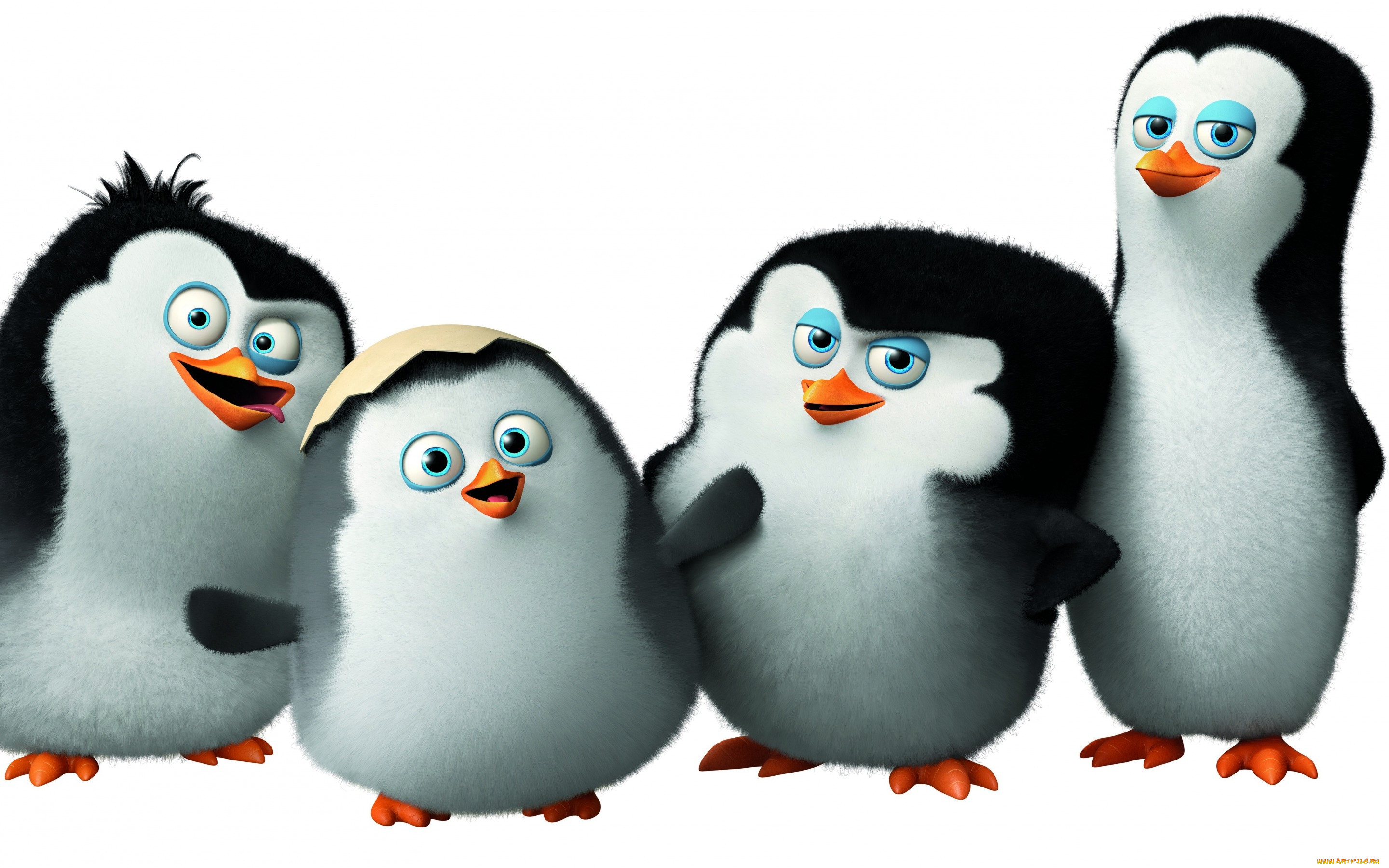, the penguins of madagascar, , , penguins, of, madagascar, classified, 